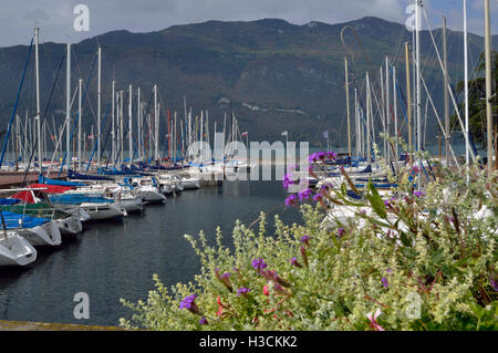 Yachten im Hafen am See Bourget, Aix-Les-Baines, Ostfrankreich Stockfoto