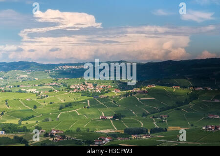 Castiglione Falletto Hügel, Langhe, Provinz Cuneo, Piemont, Italien. Stockfoto