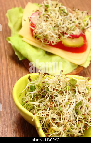 Schüssel mit Luzerne und Radieschen Sprossen grün und frisch zubereitete vegetarische Sandwich auf Holztisch liegend, Stockfoto