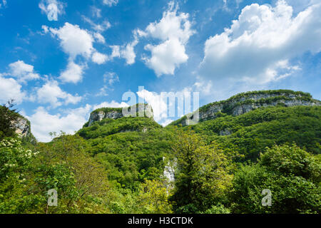 Waldlandschaft Dolomiten in Molina Wasserfall Park, Italien Stockfoto