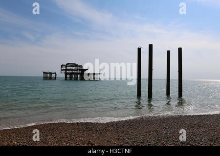 Der West Pier in Brighton, East Sussex, Vereinigtes Königreich Stockfoto