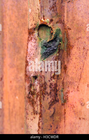 Vertikale Rost auf Metall am Tag Zustand Stockfoto