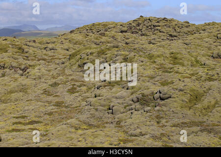 Eldhraun Lava Feld Handelsort Island Stockfoto