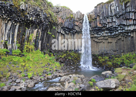 Wasserfall Svartifoss Vatnajökull-Nationalpark Skaftafell Stockfoto