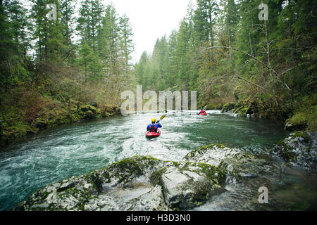 Rückansicht des Kanuten paddeln durch Fluss im Wald Stockfoto