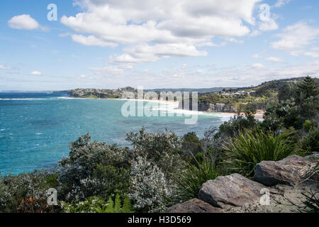 Blick nach Süden vom Norden Bilgola Kopf mit Newport Beach in mittlerer Entfernung. Stockfoto