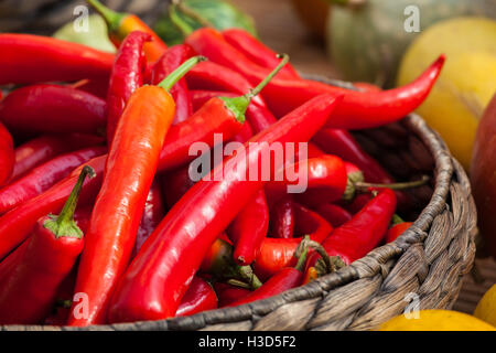 Kleine rote Chilischoten Stockfoto