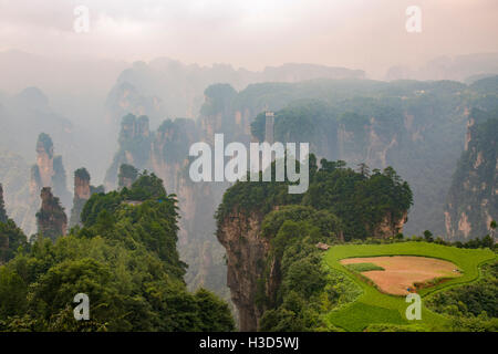Ackerland in der Luft, Zhangjiajie National Forest Park, Hunan, China Stockfoto