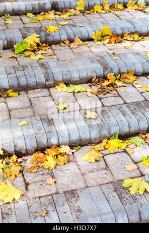 Steinstufen mit gefallenen herbstlichen gelb Ahornblättern bedeckt Stockfoto