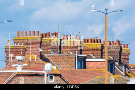 Reihe von rotem Backstein Schornsteine auf alten Häusern in Großbritannien. Stockfoto