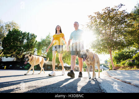 Älteres Paar in kurzen Hosen Spaziergang mit seinem Hund entlang einer Straße in der Sonne. Stockfoto