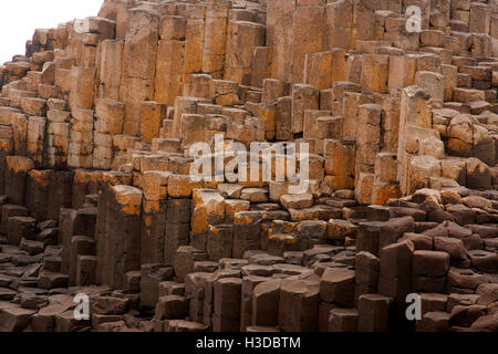 Giants Causeway-Nordirland Stockfoto