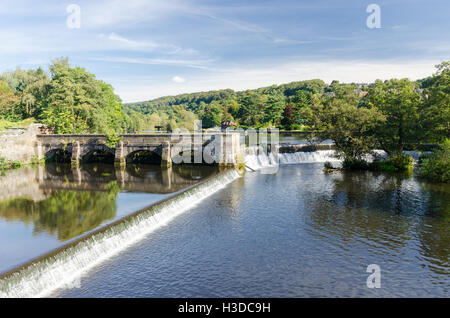 Fluß Derwent fließt über ein Wehr in Belper, Derbyshire Stockfoto