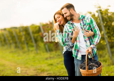 Junges Paar mit einem Korb voller Trauben im Weinberg Stockfoto