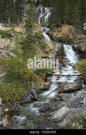 Langzeitbelichtung Foto der Tangle Wasserfälle auf dem Icefield Parkway von Alberta, Kanada, aufgenommen im August 2016. Stockfoto