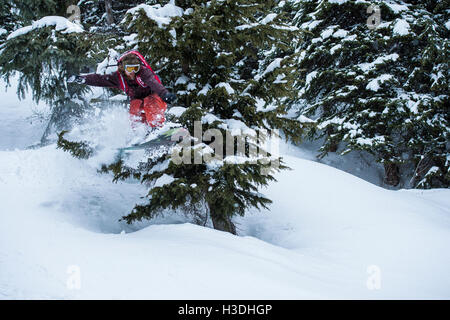 Snowboarder springen durch einen Baum im backcountry Stockfoto