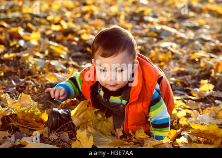 niedliche kleine Junge Outdoor-Herbst Porträt, warme Stimmung des Bildes Stockfoto