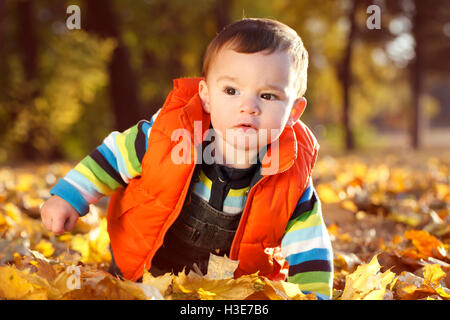 niedliche kleine Junge Outdoor-Herbst Porträt, warme Stimmung des Bildes Stockfoto