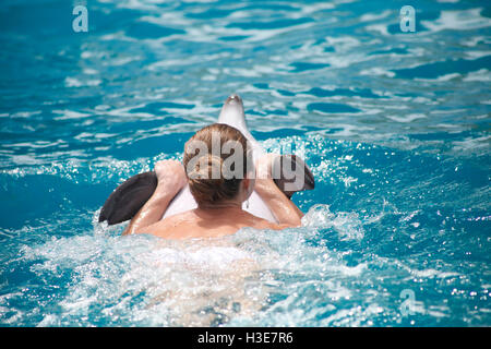 eine niedliche Delfine während einer Rede im Delphinarium Stockfoto