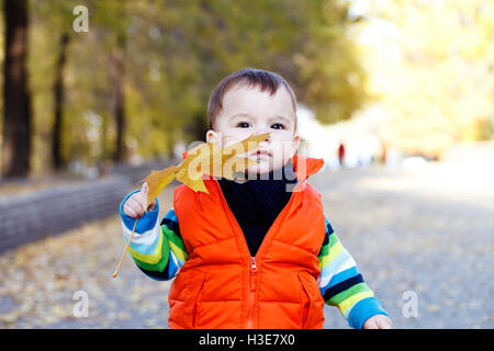 niedliche kleine Junge Outdoor-Herbst Porträt, warme Stimmung des Bildes Stockfoto