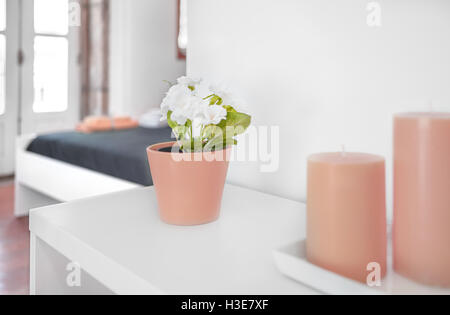 Nahaufnahme von einem Blumentopf mit natürlichen Unschärfe im Hintergrund Stockfoto