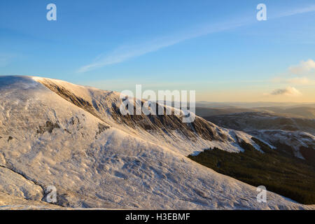 Weiße Coomb (ein Corbett) im Winterschnee, Grey Mare Tail Nature Reserve, in der Nähe von Moffat, Dumfries & Galloway, Schottland. Stockfoto