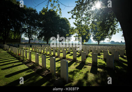 Licht des Morgens brechen durch die Bäume und über die Grabsteine auf Soldatenfriedhof Vlamertinghe, Ypern, Belgien Stockfoto
