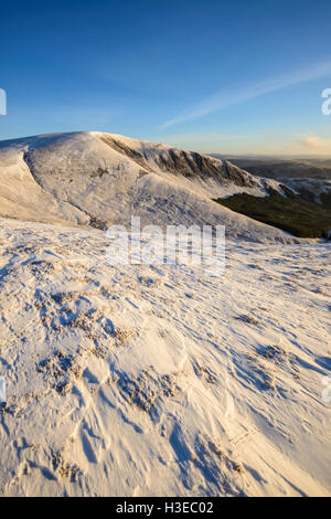 Weiße Coomb (ein Corbett) im Winterschnee, Grey Mare Tail Nature Reserve, in der Nähe von Moffat, Dumfries & Galloway, Schottland. Stockfoto