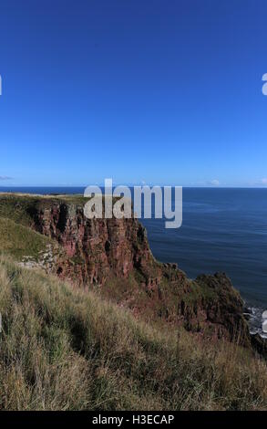 Küste zwischen lunan Bucht und auchmithie Angus Schottland Oktober 2016 Stockfoto