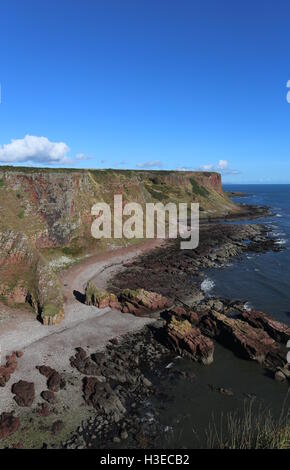 Küste zwischen lunan Bucht und auchmithie Angus Schottland Oktober 2016 Stockfoto