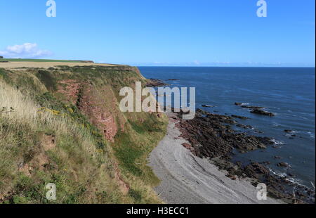 Küste zwischen lunan Bucht und auchmithie Angus Schottland Oktober 2016 Stockfoto