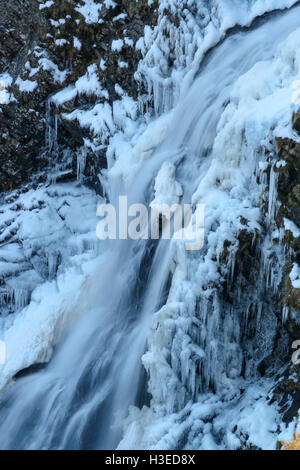 Grey Mare Tail Wasserfall im Winterschnee und Eis, in der Nähe von Moffat, Dumfries & Galloway, Schottland. Stockfoto