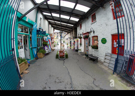 bunte Clonakilty mit ein Fish-Eye-Objektiv west cork, Irland Stockfoto