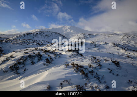 Weiße Coomb (ein Corbett) im Winterschnee, Grey Mare Tail Nature Reserve, in der Nähe von Moffat, Dumfries & Galloway, Schottland. Stockfoto