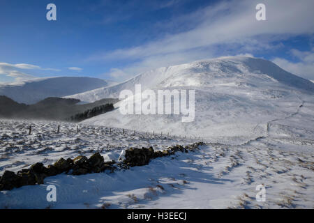 Weiße Coomb (ein Corbett) im Winterschnee, Grey Mare Tail Nature Reserve, in der Nähe von Moffat, Dumfries & Galloway, Schottland. Stockfoto