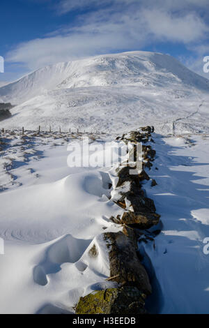 Weiße Coomb (ein Corbett) im Winterschnee, Grey Mare Tail Nature Reserve, in der Nähe von Moffat, Dumfries & Galloway, Schottland. Stockfoto