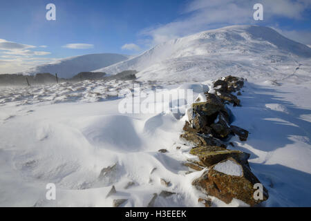 Weiße Coomb (ein Corbett) im Winterschnee, Grey Mare Tail Nature Reserve, in der Nähe von Moffat, Dumfries & Galloway, Schottland. Stockfoto