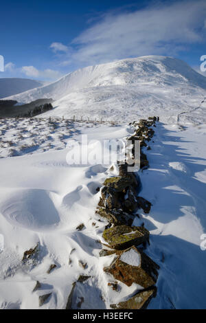 Weiße Coomb (ein Corbett) im Winterschnee, Grey Mare Tail Nature Reserve, in der Nähe von Moffat, Dumfries & Galloway, Schottland. Stockfoto