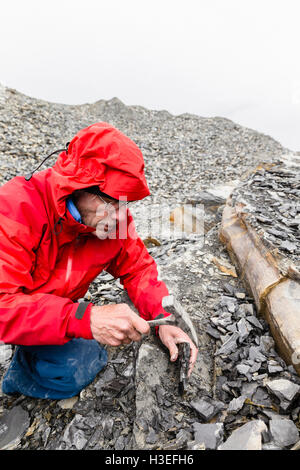 Ein Mann auf der Suche nach Trilobiten. Stockfoto