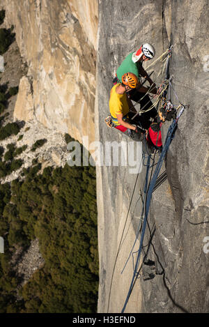 Zwei Männer frei klettern eine große Mauer-Route am El Capitan im Yosemite nationalen Prk in der Sierra Nevada Mountains, Kalifornien. Stockfoto