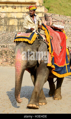 Asiatische Elefanten im Amber Fort (Amer Fort) in Jaipur, Rajasthan, Indien Stockfoto