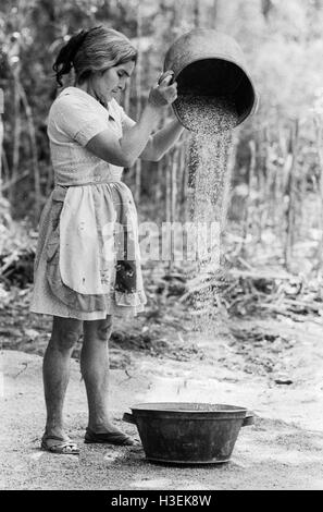 CHALATENANGO, EL SALVADOR, FEB 1984: - innerhalb der FPL-Guerilla Zonen der Kontrolle - eine Frau Worfeln Mais. Stockfoto
