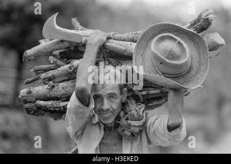 CHALATENANGO, EL SALVADOR, FEB 1984: - innerhalb der FPL Guerilla Zonen von Control A Landwirt trägt nach Hause Brennholz. Stockfoto