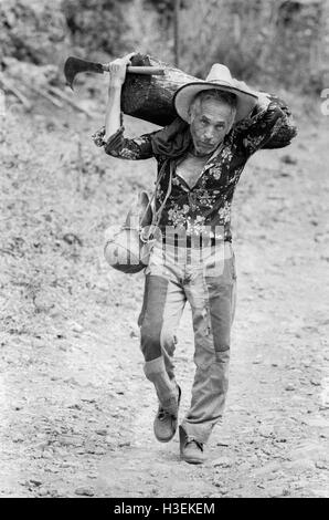 CHALATENANGO, EL SALVADOR, FEB 1984: - innerhalb der FPL Guerilla Zonen von Control A Landwirt trägt nach Hause Brennholz. Stockfoto