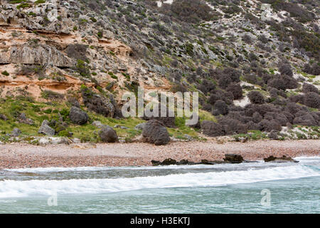 Landschaft im Boxen Bay, Nordkap-Bereich von Kangaroo Island, South Australia Stockfoto