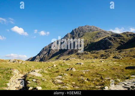 Weg zum Mount Tryfan mit Nordgrat im Profil von Westseite in Snowdonia-Nationalpark gesehen. Ogwen Conwy Wales UK Großbritannien Stockfoto