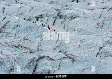 Skaftafellsjökull Gletscher mit Wanderer auf die Eisblöcke auf Island. Stockfoto