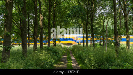 Niederländisch zu trainieren, vorbei an einer nicht gesicherten Bahnübergang in der Nähe von Ellecom in den Niederlanden Stockfoto