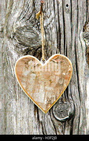 geschnitzte Herz hängt an Baumrinde Stockfoto