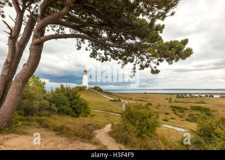 Landschaft mit Leuchtturm am Dornbusch, Insel Hiddensee, Deutschland Stockfoto